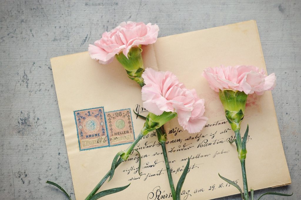 Briefumschlag und 3 rosa Nelken